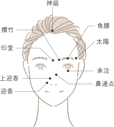 経穴（ツボ）押し